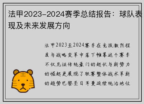 法甲2023-2024赛季总结报告：球队表现及未来发展方向